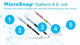 MicroSnap®  Coliform amp E coli with EnSURE® Touch  How To Use [upl. by Abert]