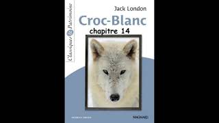 Chapitre 14  Croc Blanc de Jack London  version abrégée [upl. by Finzer]