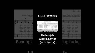 Hallelujah What a Savior hymnlyrics oldhymns hymnsong [upl. by Nesyla595]