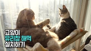 고양이 유리창 해먹│수리노을 가족과 칠냥이 반응 [upl. by Fagin]