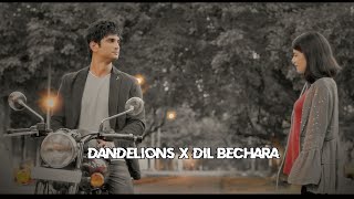 Dandelions X Dil Bechara [upl. by Jago]