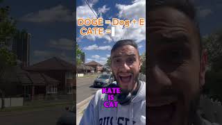 I found the next DOGE coin memecoin doge crypto cate cryptocurrency memecoins dogecoin [upl. by Milburn]