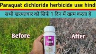 paraquat dichloride herbicide use [upl. by Cichocki911]