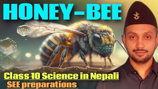 HONEY BEE  Class 10 Science in Nepali  SEE preparations 2080 [upl. by Naivat]