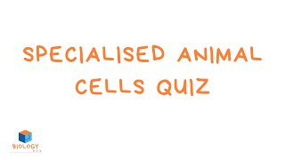 Specialised Animal Cells Quiz  With Answers  KS3 Cell Biology [upl. by Eldon697]