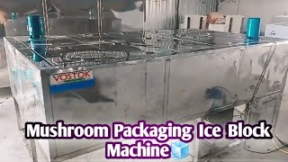 Mushroom packaging machine  vostok refrigeration  mushroompackaging icemachinefactoryviralvideo [upl. by Terraj]