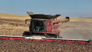 FIRST 50ft Sunflower Header in the USA Largest in the world [upl. by Leahcimsemaj430]