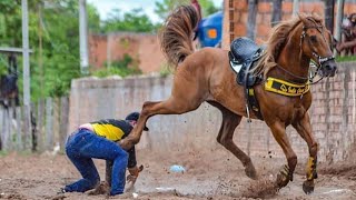 Top  20 Flagrantes Incríveis 😱 [upl. by Filomena]