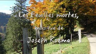 JeanClaude Welche  Les Feuilles mortes  Joseph Kozma  Melodica [upl. by Cathie386]