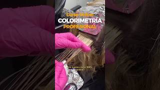 🌈Aprende COLORIMETRÍA DEL CABELLO desde Casa balayage colorimetria estilistas hair loreal [upl. by Mcclain]