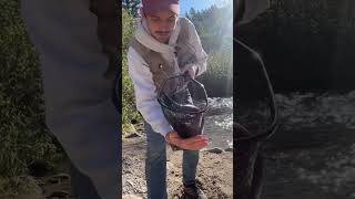 Fishing for massive Kokanee salmon with a fly rod [upl. by Hawley928]