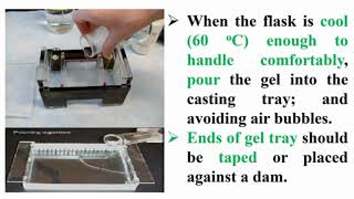 Preparation Agarose Gel Electrophoresis [upl. by Suoivatco464]