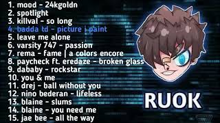 Best Highlight Song RUOK Free Fire No Copyright 2024 [upl. by Elfont]