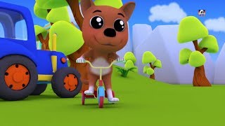 Bingo den Hund Song  Kinderlieder  Babyreime  Baby Song  Kids Rhymes  Bingo The Dog Song [upl. by Bibbye]