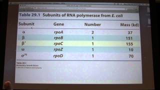 44 Kevin Aherns Biochemistry  Transcription I [upl. by Adnarb636]