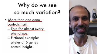 Genetics and Evolution  41 Single Gene Variation [upl. by Niemad]