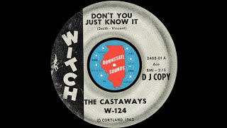 The Castaways  Dont You Just Know It Witch 1963 [upl. by Tavis682]