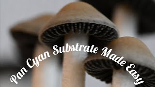 Pan Cyan Substrate Made Easy [upl. by Snebur]