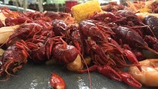 How to quotBOIL CRAWFISHquot Louisiana Style [upl. by Wooldridge]