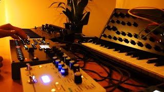 Collection Vol2 Felt Instruments Lekko Microcosm Octatrack  Ambient Minimal Techno music [upl. by Margo]