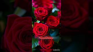 Rose Day🌹7th February 💐 Rose day kab hai🌷Rose Day status 🌹 Happy Rose Day status 2024roseday rose [upl. by Eendyc432]