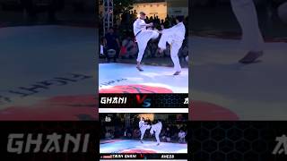 Artofight Face Punch karate Fight mma video wkf combatsport artofight wkf kumite KO [upl. by Ahsiuqel256]