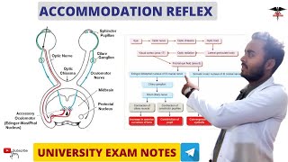 Accommodation Reflex  Special Sense Physiology [upl. by Vidovic]