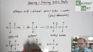 Esters  Drawing Structural Formulae and Naming Practice [upl. by Munshi]