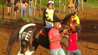 Corrida de Cavalos  Tanque do Piauí [upl. by Adachi]