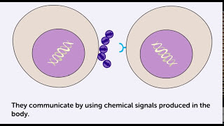 When Cells Cause Cancer by Sending the Wrong Messages  What is Cancer  Cancer Research UK [upl. by Hanad929]