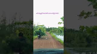 konaseema eastgodavari godavari razole konaseemavillages village nature trending viralvideo [upl. by Kudva]