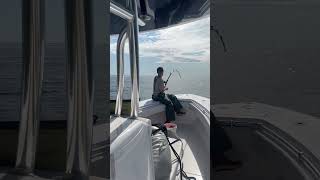 When she runs for the engines garmin shimano alutecnos bluefintuna contender fishing [upl. by Ayatal166]