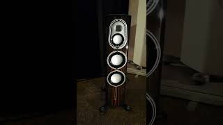 Monitor Audio Platinum 200 3G  Toronto Audiofest 2024 [upl. by Anihc974]