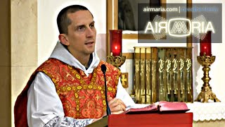 Recognize the Lord by His Wounds St Thomas Apostle  Jul 03  Homily  Fr Matthias [upl. by Micah]