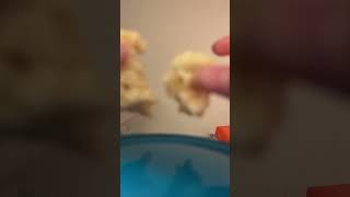 ASMR rice crispy treat ￼ [upl. by Summers]