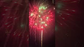 275 Inch 36 Shot Display Shell Cake fireworks fireworksdisplay pyro fireworksfestival [upl. by Nerrak]