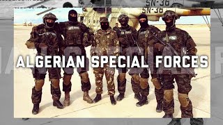 Algerian Special Forces 2021 القوات الخاصة الجزائرية [upl. by Vasily]