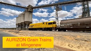 AURIZON Grain Trains at Mingenew 28122023 [upl. by Llimaj440]