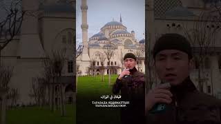 KALIMATAN HABIBATANNASHID❤️🌙 koran nasheed BEAUTIFUL [upl. by Yditsahc855]