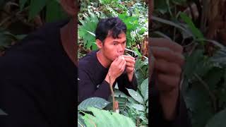 Setelah makan buah ini langsung nemu lagi sarang burung Ngebolang 54 jejakbudakabrag [upl. by Keelin]