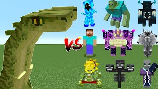 Minecraft  Hydra vs All Boss Mobs  Hydra vs Wither vs Warden vs Ferrous  Mob Battle [upl. by Cailean646]