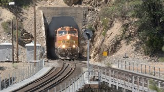 4K Trains Over The World Famous Keddie Wye  Feather River 2023 [upl. by Okin]