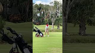 IRCS Golf tournament Seminole Golf Districts golf shorts [upl. by Boyt]