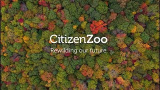 Citizen Zoo  2019 Rewilding Conference [upl. by Assiluy635]