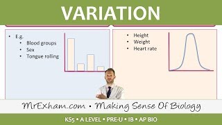 Variation  Post 16 Biology A Level PreU IB AP Bio [upl. by Orran]