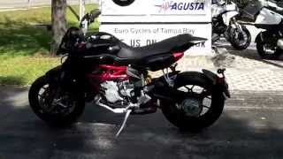 2014 MV Agusta Rivale 800 ABS in Black Walkaround Video at Euro Cycles of Tampa Bay [upl. by Elamef272]