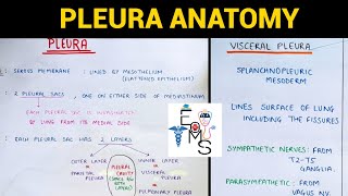 Pleura Anatomy 15  Thorax Anatomy [upl. by Wichman286]