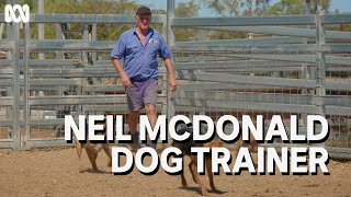 Worldclass dog trainer Neil McDonald  Muster Dogs [upl. by Naruq]