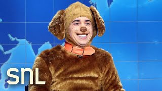 Weekend Update Kristi Noems Other Dog Defends His Owner  SNL [upl. by Ecirtemed539]