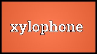 Xylophone Meaning [upl. by Ayom]